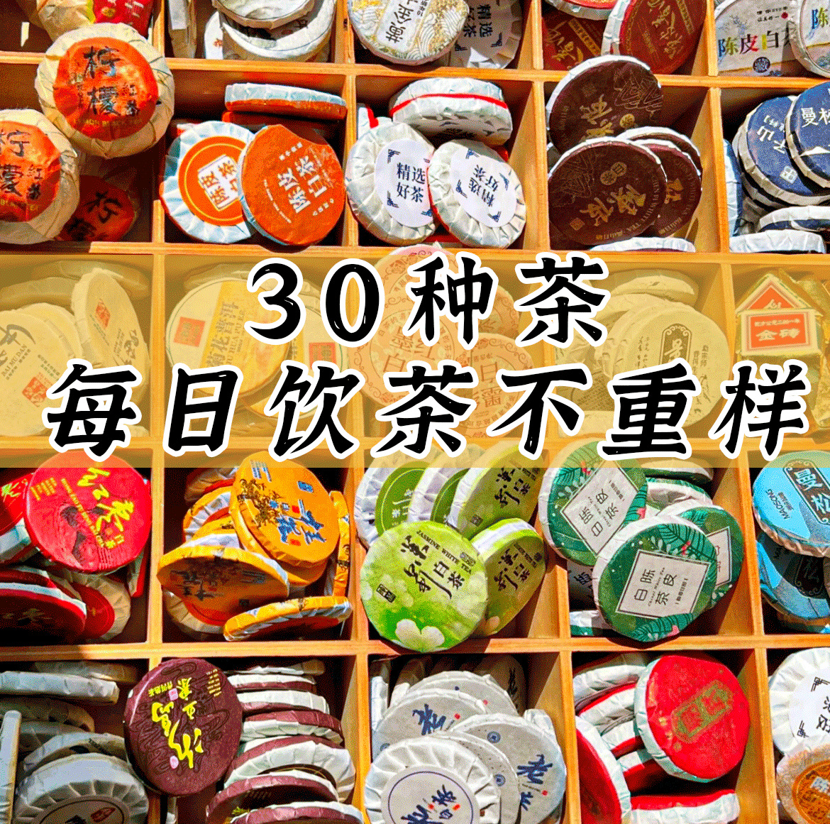 30种茶样组合试喝中秋茶叶特产普洱滇红茶茶包福鼎白茶茶饼礼物