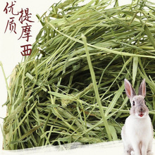 òݕĦݰݚwlጙĪɲüZ