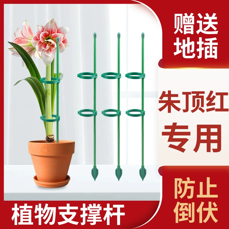 Растительный антиполегущий кронштейн опорный стержень садоводческий неподвижный каркас Gingding красный цветочный каркас черепаха бамбуковая птица райская лоза