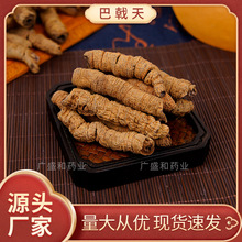 ��Ʒ�V�|�������ș�����l ��о��ꪸɟo��� �ɴ�����ɐ���i�