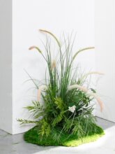 ����ֲ��؈β�Ͳ݅��JȔ�쾰չ�d��в��üپGֲ�͏d�������滨