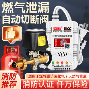Gas safety valve gas tank leak alarm automatic shut-off valve commercial hotel liquefied gas leak alarm