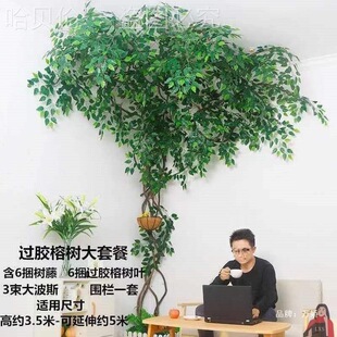 �͏d�b����b�����҃��~�ܵ��Gֲ�p�@�ٗl�����Ř�ֲ�����ֲ�q