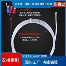 ԃ~pt100�ضȸМy���L�ڷ��b��ˮ���͜ضȱOҕ��pt1000�K������