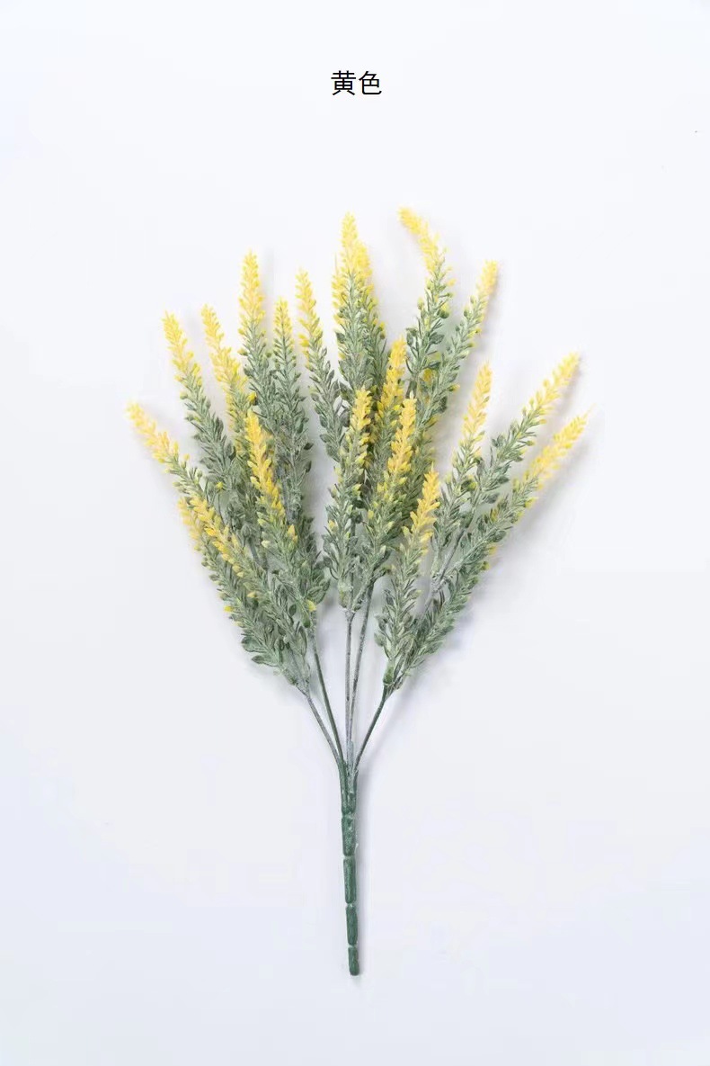 몰려 드는 라벤더 옐로우]