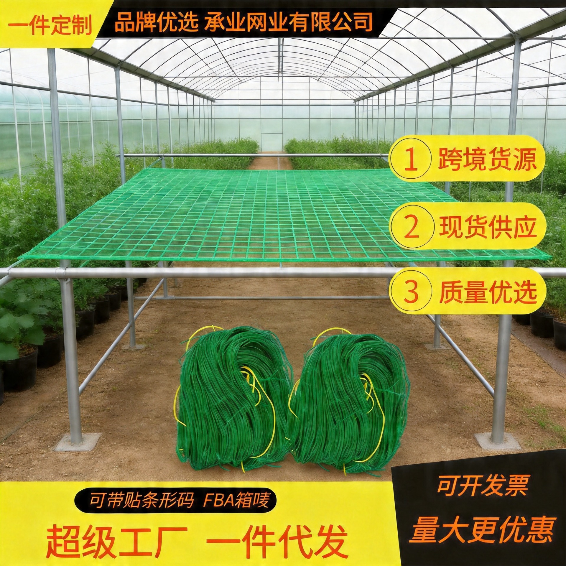 Трансграничное взрывное растение поднимает сеть огурцов