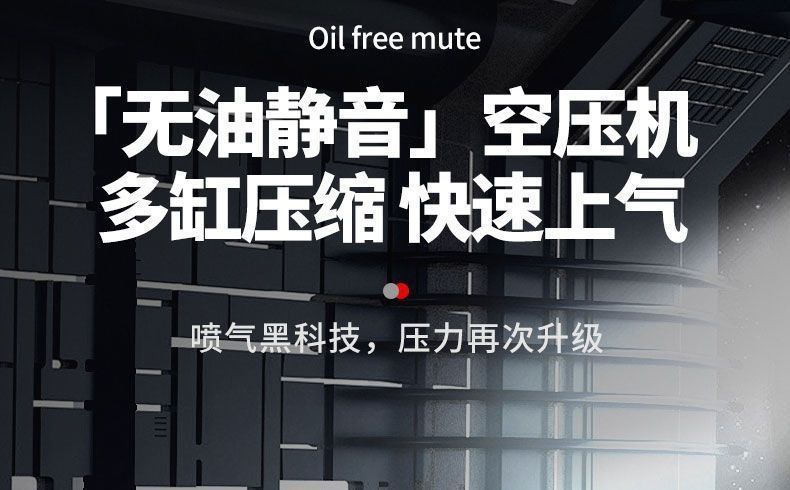 Ruicheng air compressor small air compressor oil-free silent 220V woodworking painting air pump