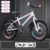 White powder/disc brake shifting [standard gift package]