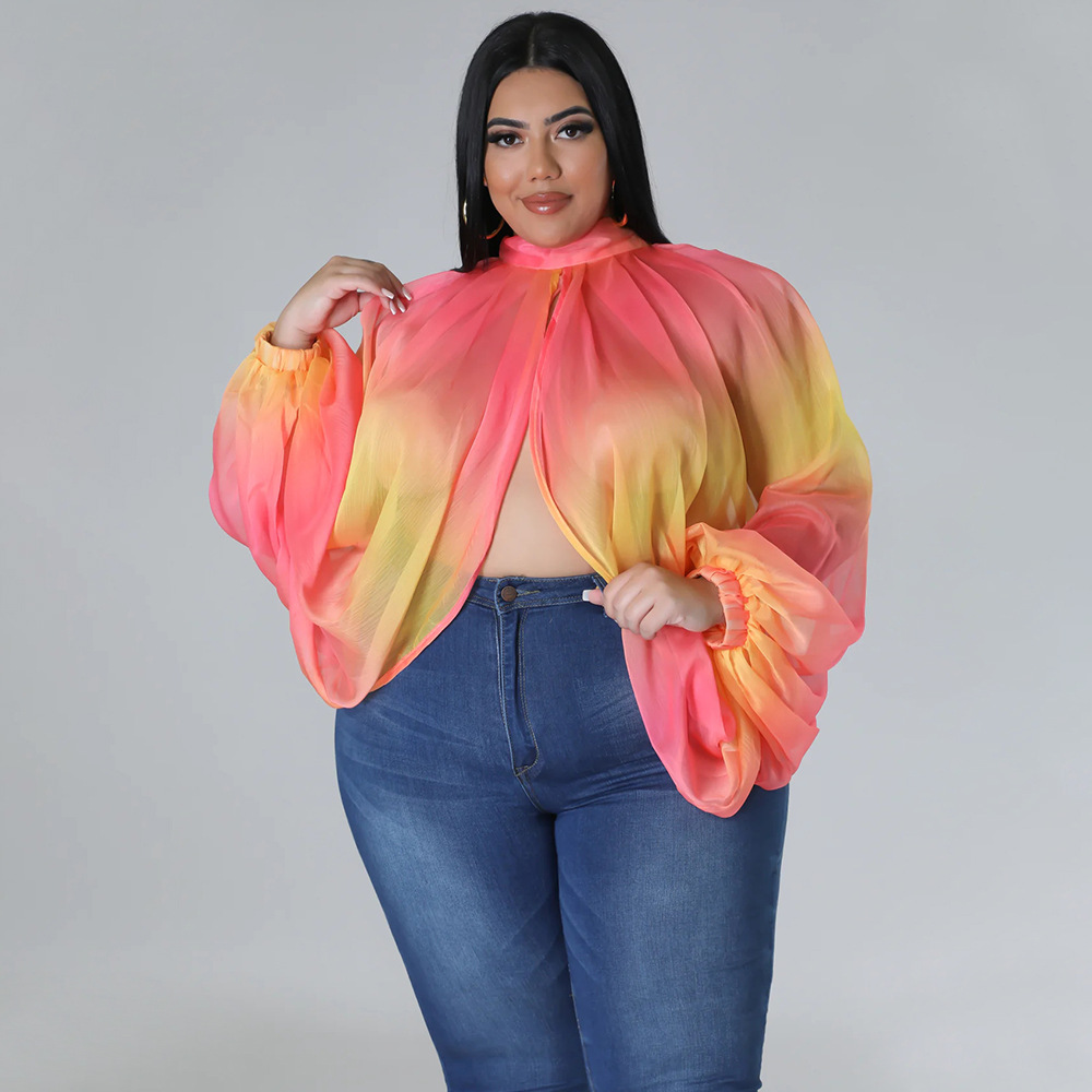 252g Weight Long Sleeve Sleeve Length Regular Sleeve Sleeve Type Spandex, Polyester, Chiffon Fabric Type Long Top Length Blouse Tops Type Daily, Street Occasion Round Neck Neckline Regular Fit Fit Type Color Block Pattern Spring&Summer Season Streetwear Style Blouse Long Sleeve Plus Size Tops Streetwear Color Block 49
