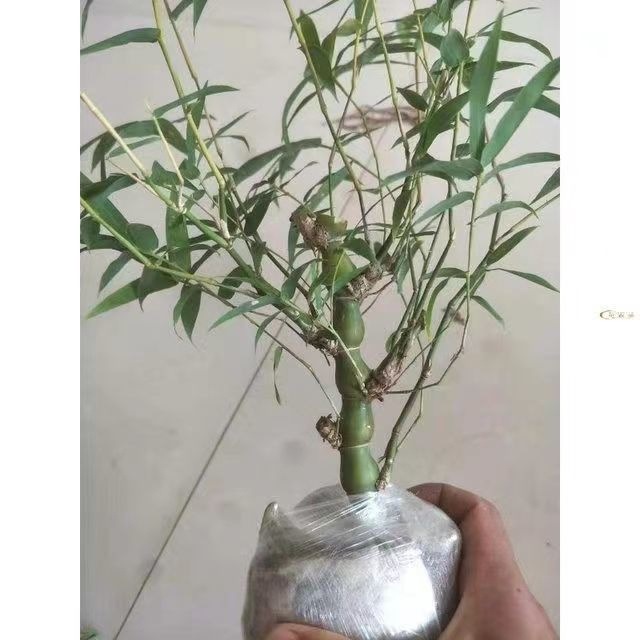 0e126b3e-bb20-4069-8674-efb5e2ac0c32.jpe