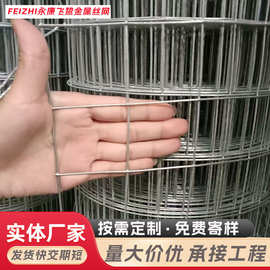 热镀锌电焊网铁丝网网片冷拔丝焊接网圈地不锈钢钢丝网网格