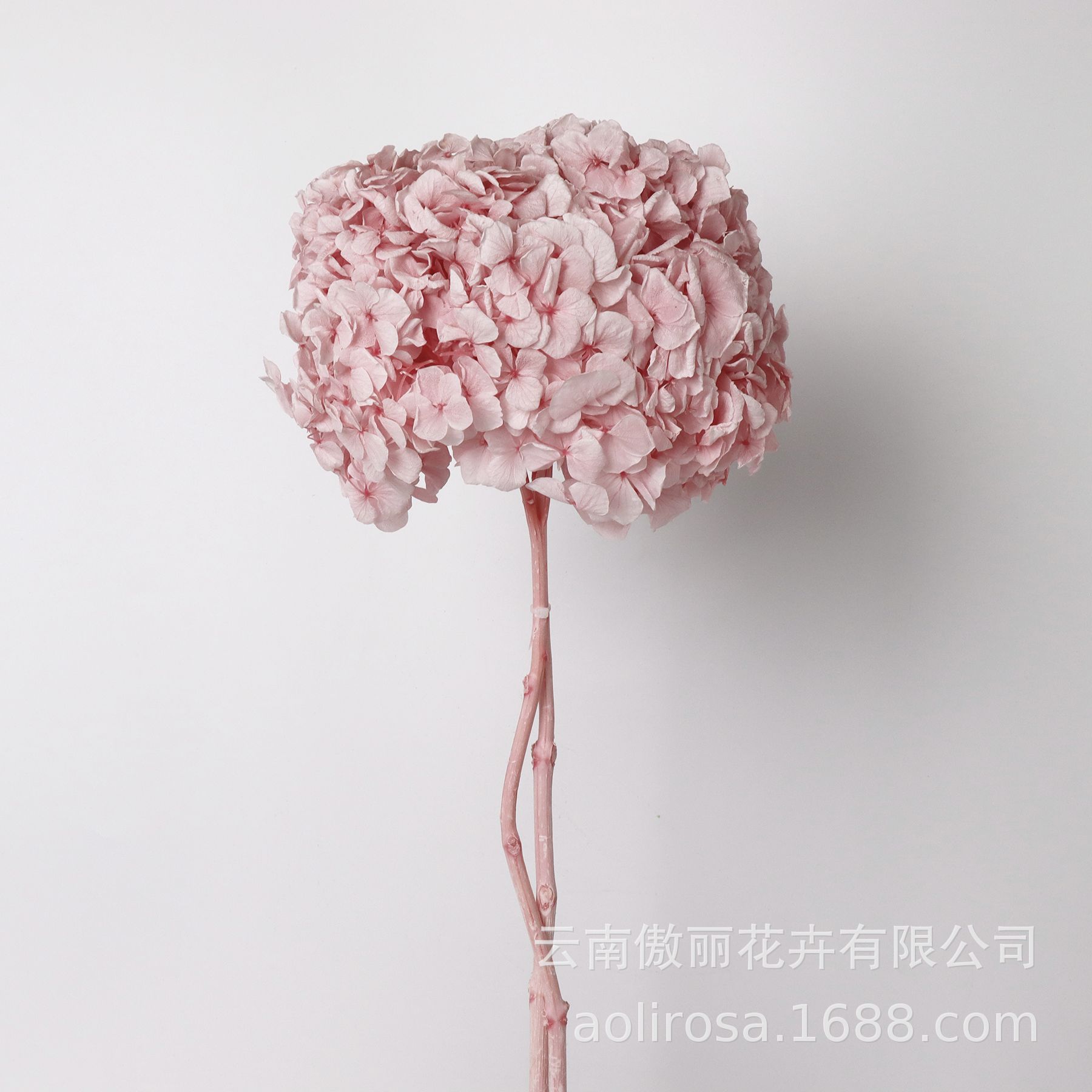 Hortensia de hoja grande flor permanente sola Hortensia con varilla decoración boda decoración floral DIY flor material fábrica al por mayor