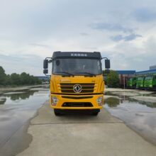���� D3S ����������������
