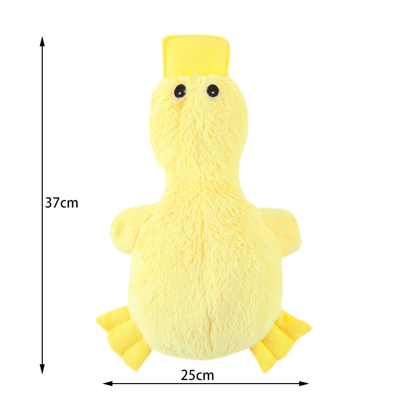 노란색 - 소리 - 오리