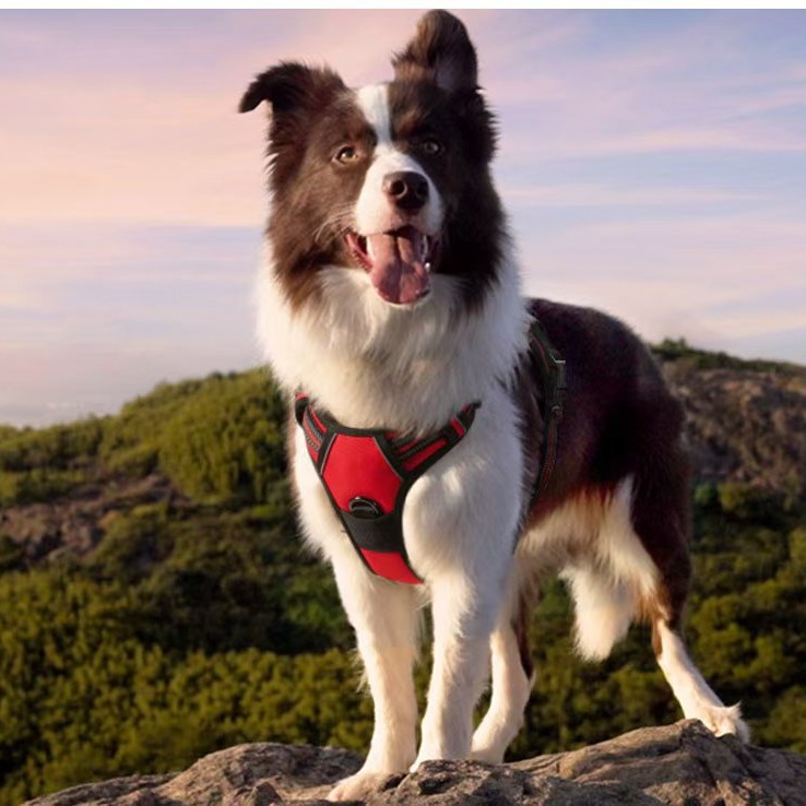 Correa de perro correa de pecho de perro de tamaño grande y mediano anti-rotura explosión cuerda de perro chaleco reflectante fabricante cuerda de Mascota