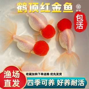 �Q피t���~�t�^���w�~�^�p�~�t�{���^�����ˮ�~��ˮ���B�ͻ���~