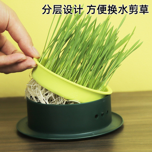 New Cat Grass Pot Soilless Hydroponic Cat Grass Seed Box Set for Hairball Control and Digestion Aid, Cat Snack Wheat Seeds