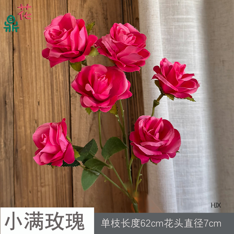 샤오만 로즈 HJX 로즈 레드