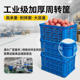 长方形塑料筐白色加厚水果筐蔬菜快递分拣镂空塑胶框子厂价批发