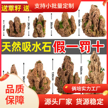 ��ˮʯ��ˮʯ��Ȼԭʯ�~���~���辰΢���^�Gֲ�쾰�b[����ɽʯ