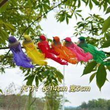 ������ëС�B���b��ɫ�B��ĭ�B�Gֲ�A�ӷ�����ë�B�@ˇ�b�ˇ�B