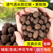 ͸��͸ˮ�B�����������|�����Զ����m���p���B�o�p�|�w���Gֲ���