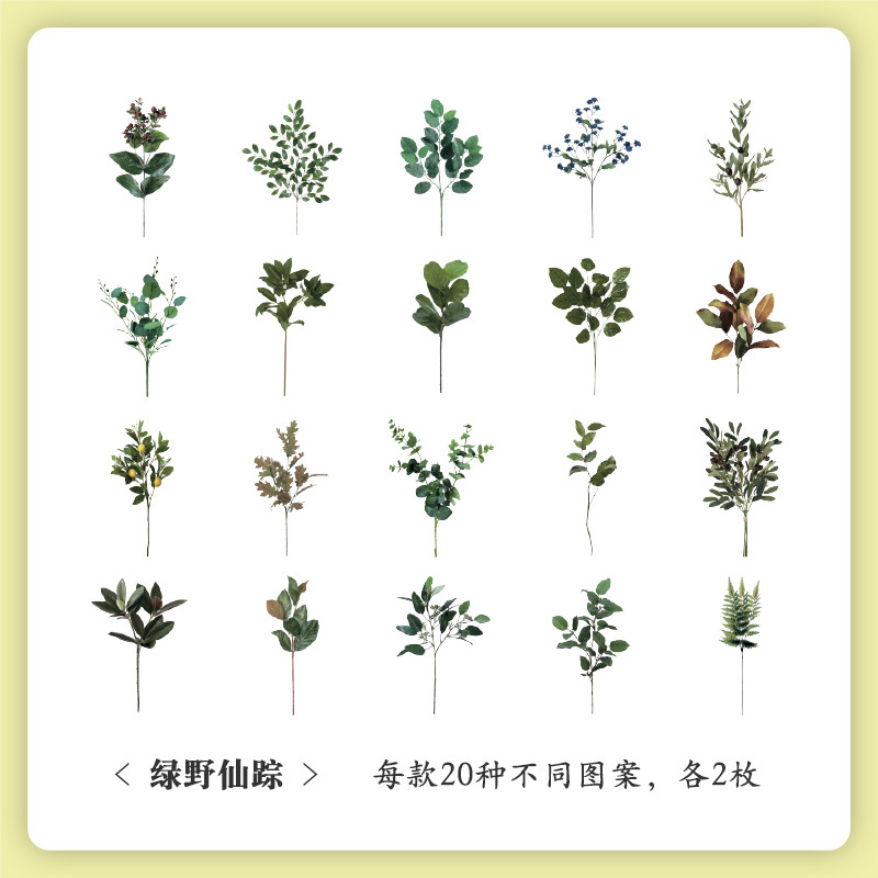 Museo Natural serie mano cuenta pegatinas bolsa vintage planta flor pegatinas mascota impermeable Flor Mariposa pegatinas