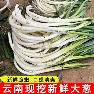 ���r��Ʒ���[��ϴ��[�L���[�G�[ë�[����ȥ�~�F����Ʒ�N���[��