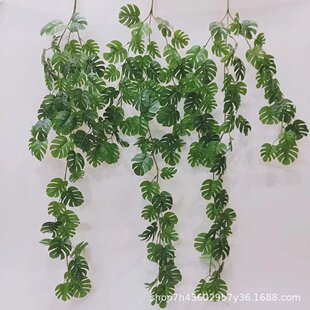 ����Gֲ�����~�ٗl�͏d�͏d�b�����G�~����֦���滨�ڒ�٘��~
