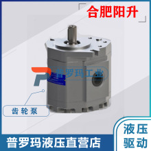 农机齿轮泵CBTD-F410/420/425/423-ALH4L 合肥阳升长源液压齿轮泵