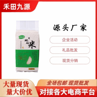 �S�����l�������׸�������1ǧ��������750�˕��N���N�Fُ����