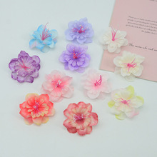 ���õ��������һ����콁���赸�ݳ����b�^��b��������ϰ����