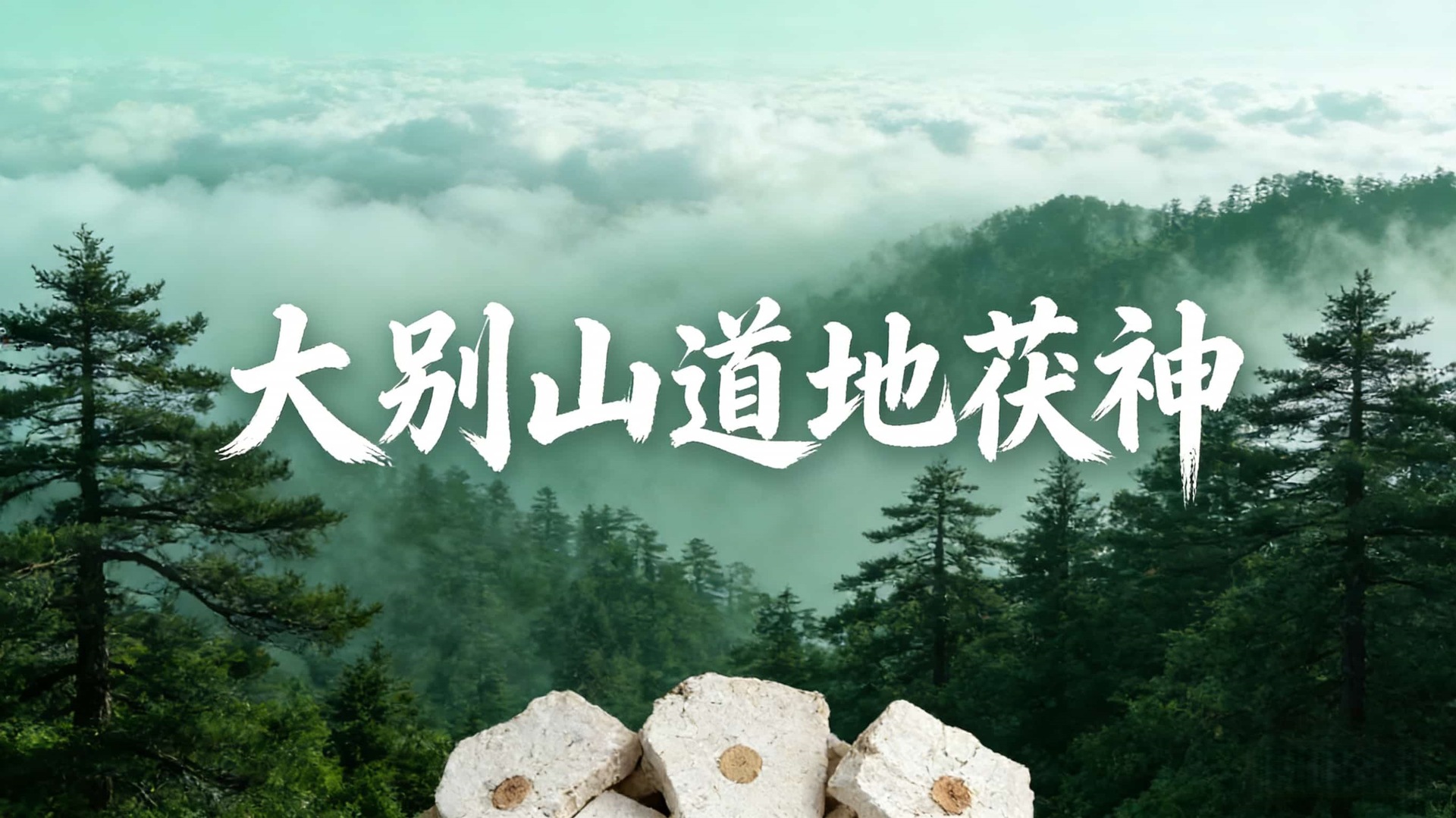 Fu Shen Dried Poria Slices Wholesale Sulfur-Free Hubei Origin Herbal Tea and Culinary Ingredient 500g Bulk overview