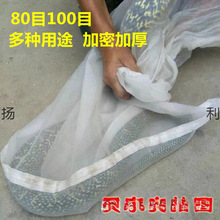 �b�ߴ��Ӻ�W��80Ŀ100Ŀ�����W���b��������ȴ��D��� �~�rˮ�a