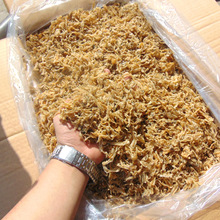 ؐȺ߅ؐ߅r؛ؐ߅߅OɎӰ]ؐ