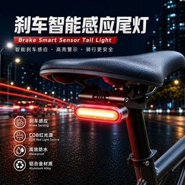 自行车灯;电动车配件;其他配件