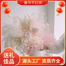 ������õ���JȔ�M���ǻ���ins��ë�滨�ɻ������Ҿ��b�����[��