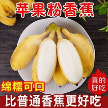 �����O�����A����M�㽶�۽������Fժ���rˮ��3��5��9����]