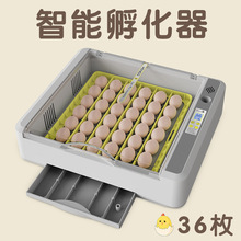 HHD家用孵化机芦丁鸡养殖孵蛋器设备家禽畜牧 36枚鸡蛋智能孵化器