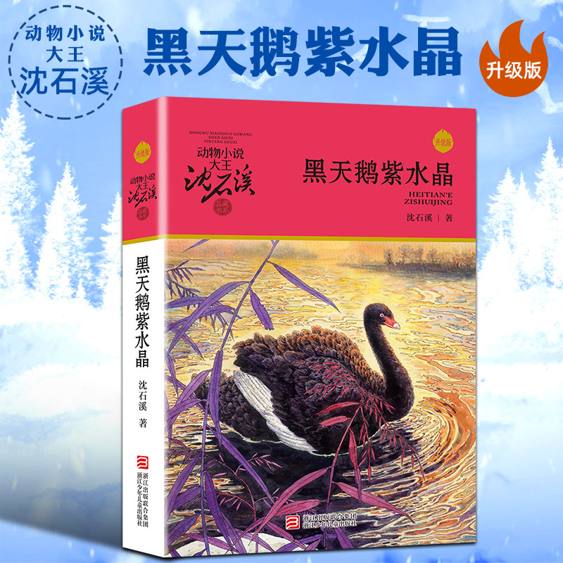 검은 백조 자수정