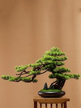 Simulation bonsai green plants potted plants home decoration