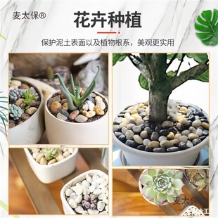 50���Z��ʯ�·䁵�ͥԺ���@�쾰��Ȼ��Сʯ�^�껨ʯԭʯ�Z��̫��
