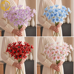 ��c���ִ�ٺ� ���ϼٻ��z�������m�[����Y���b�