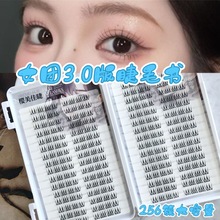 �羳�ٽ�ëŮ�F3.0�ٽ�ë�nϵ�۶���ë���w�L�δ؋����мٽ�ë