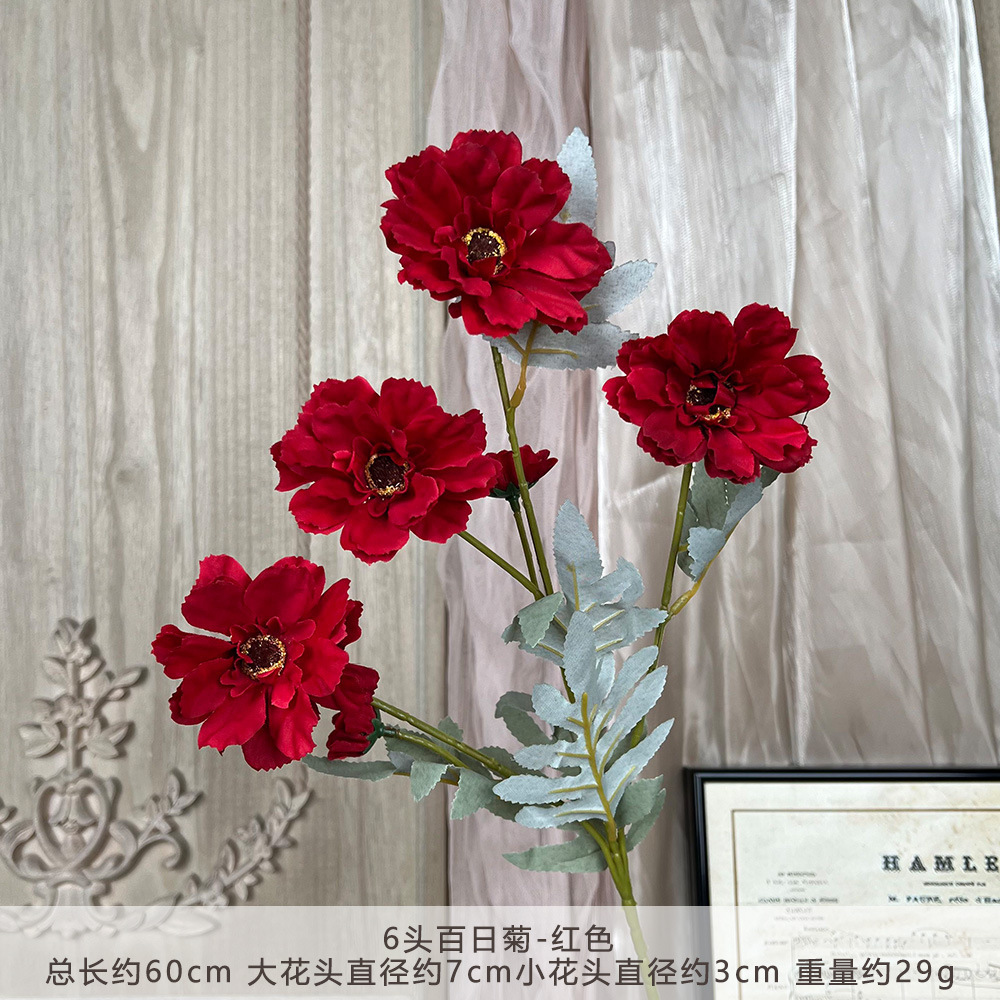 Xq 6-head zinnia - red