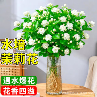 ˮ�����򻨎����������r�л����ֱ�l���ò廨�҃��ļ��_���Gֲ��