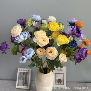 ��õ���滨6�^��c�b�����ˇ��c���Y���b[�żҾӲ����[��