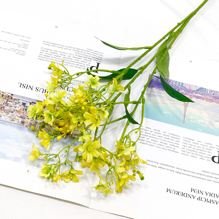 3 갈래 상향 꽃 노란색