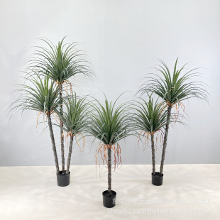 ������Ѫ��Gֲ���Ա��W�z�m���҃ș�������b[����ֲ����m�F