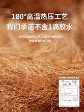 ?�؉|��ȻҬ�ش��|��ͯӲ�ؙ�����1.5�׿��ۯB������1.8���o���o